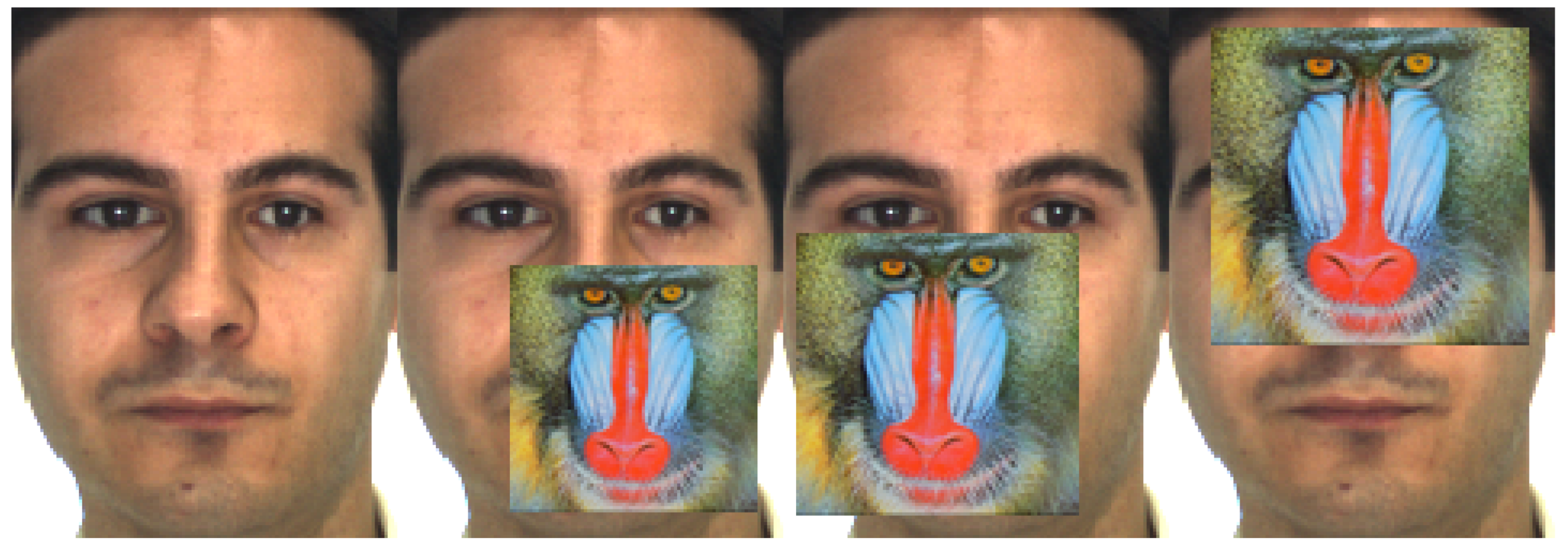 Mathematics 10 02587 g006 550