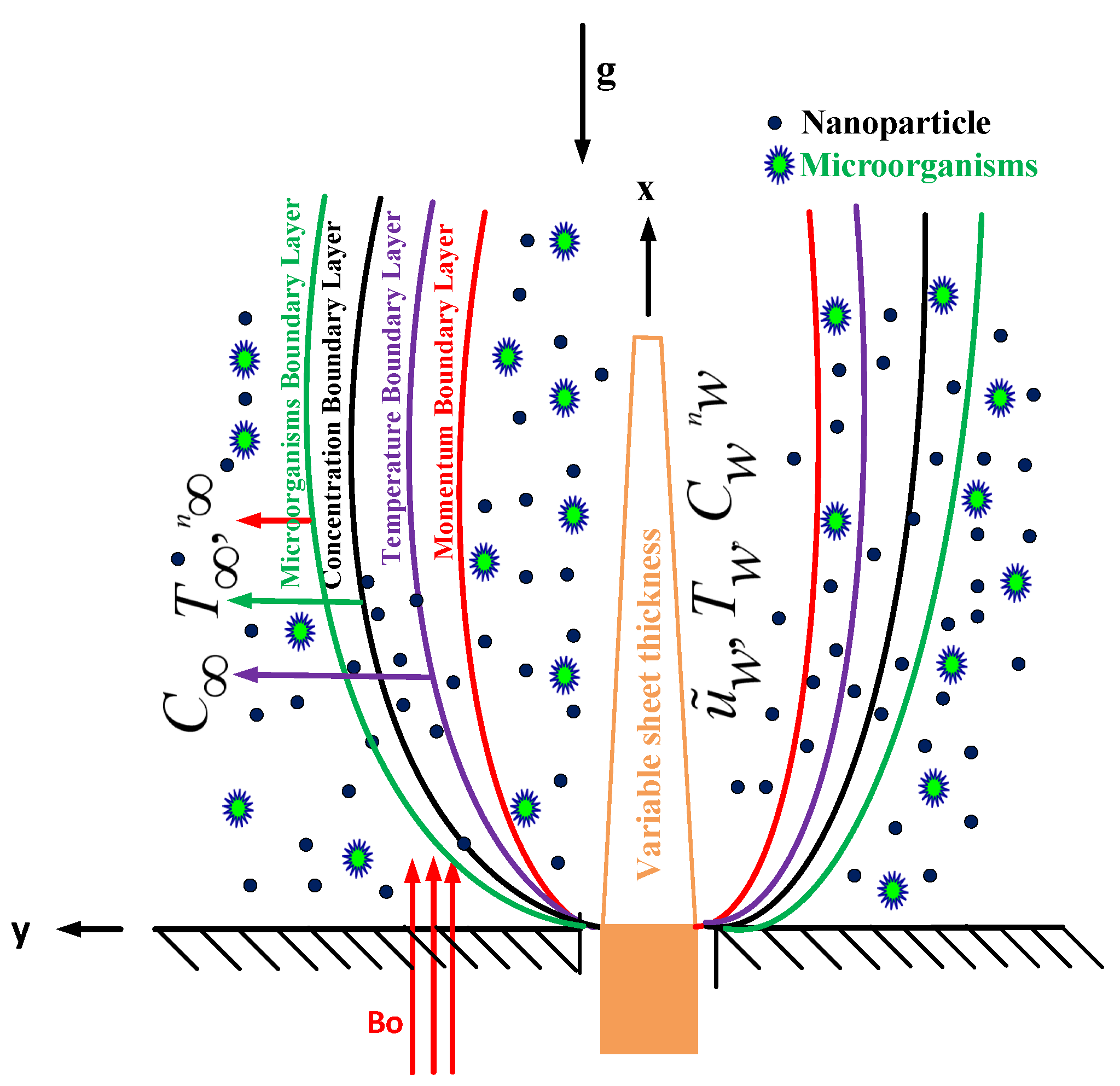 RETRACTED: Physical insights into the heat and mass transfer in