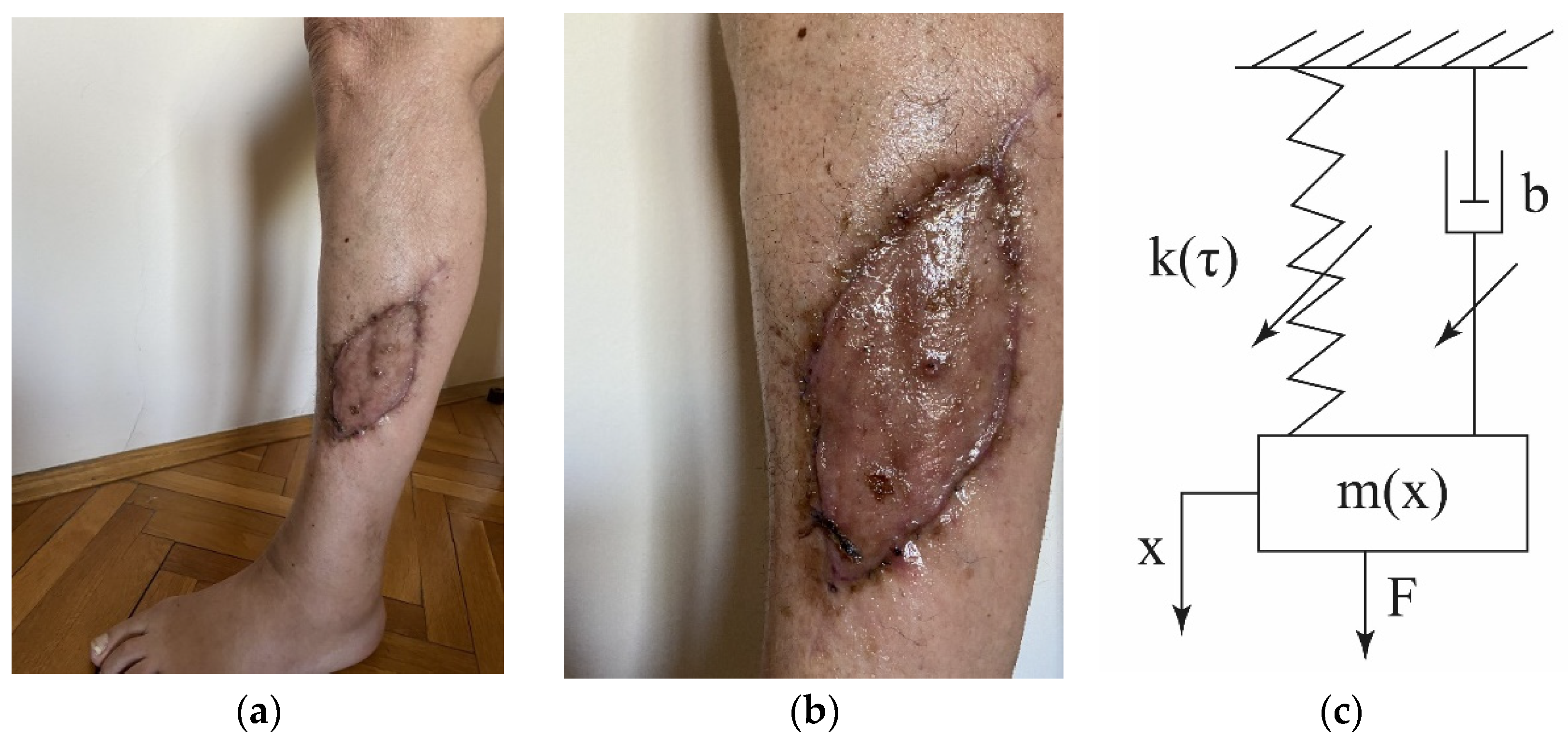 Mathematics 10 02706 g002 Mathematics 10 02706 g002