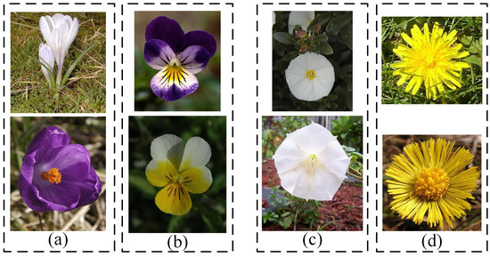 A Parallel Convolution and Decision Fusion-Based Flower Classification ...