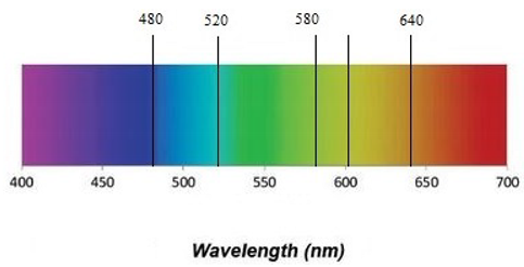 Mathematics 10 02776 i002 Mathematics 10 02776 i002