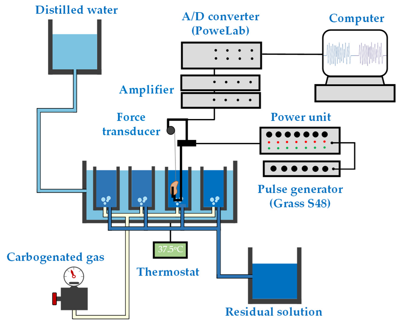 Mathematics 10 02786 g001 550