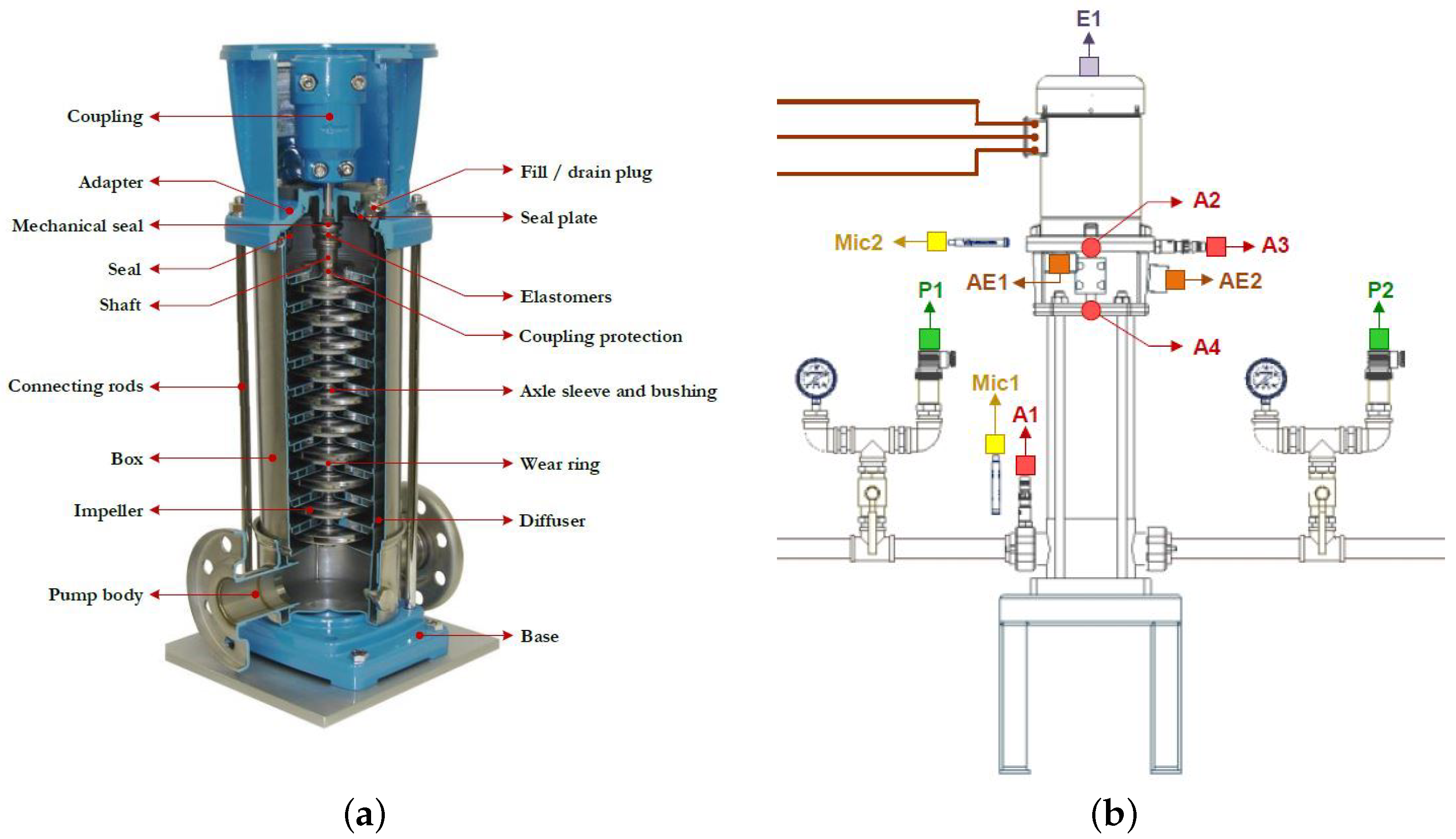 Mathematics 10 03033 g001