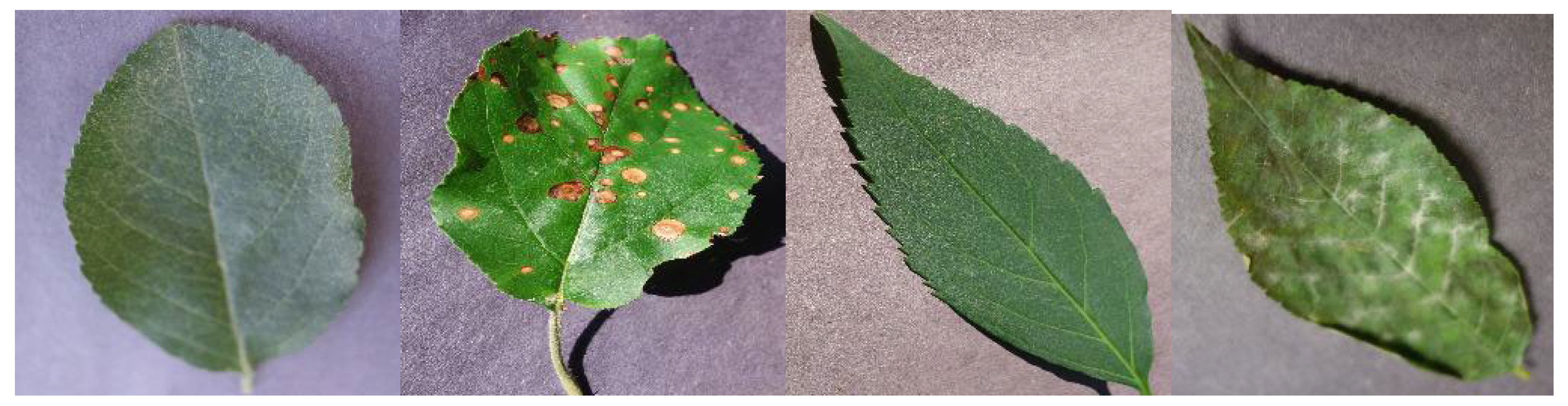 Mathematics 10 03091 g006