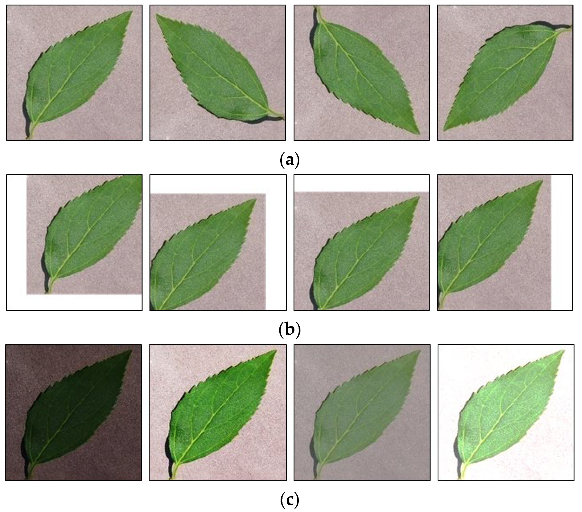 Mathematics 10 03091 g009a