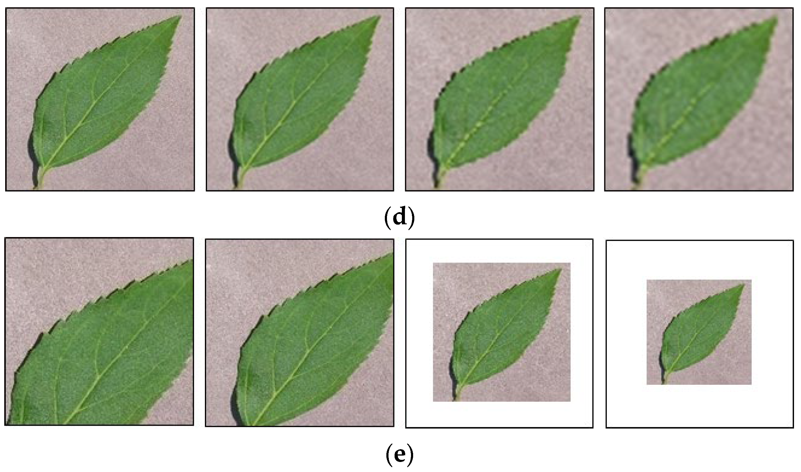 Mathematics | Free Full-Text | Deep Learning-Based Plant-Image ...