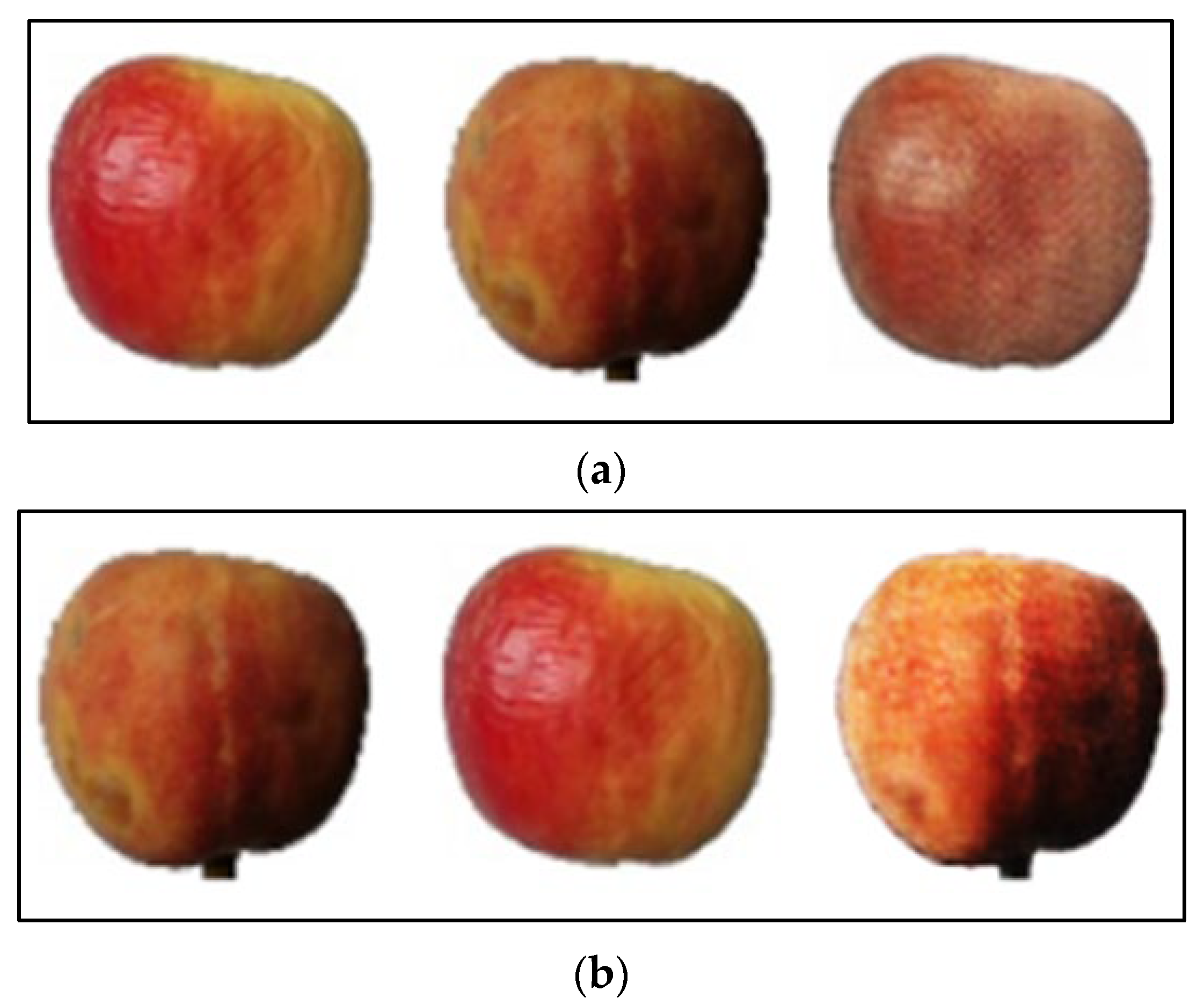 Mathematics 10 03091 g016