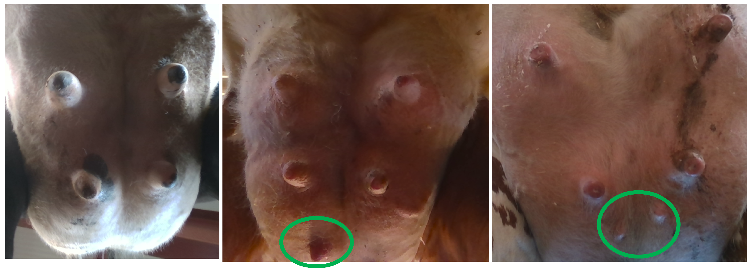 Mathematics 10 03097 g001 550