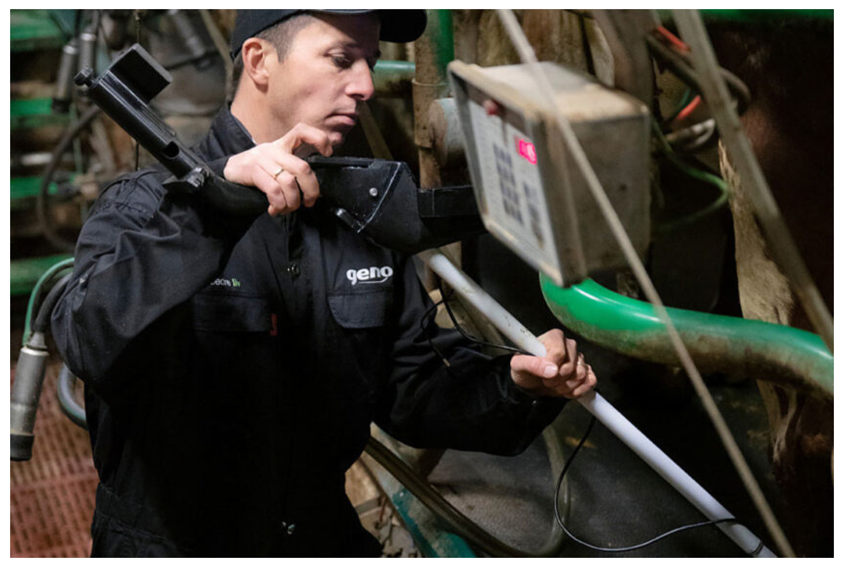 Mathematics 10 03097 g005 550