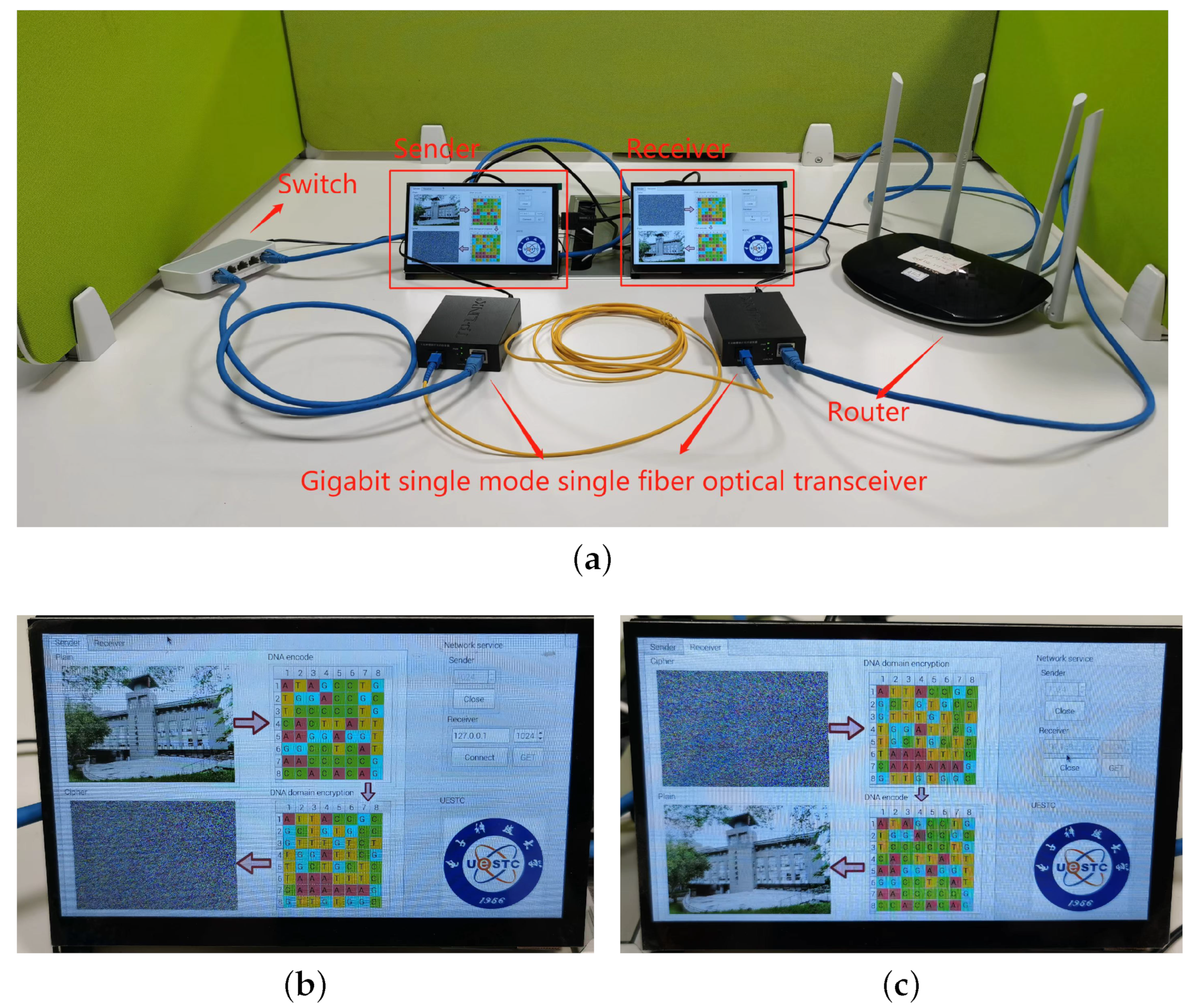 Mathematics 10 03180 g005 550