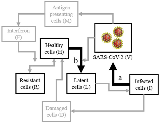 A Computational Framework for Exploring SARS-CoV-2 Pharmacodynamic 
