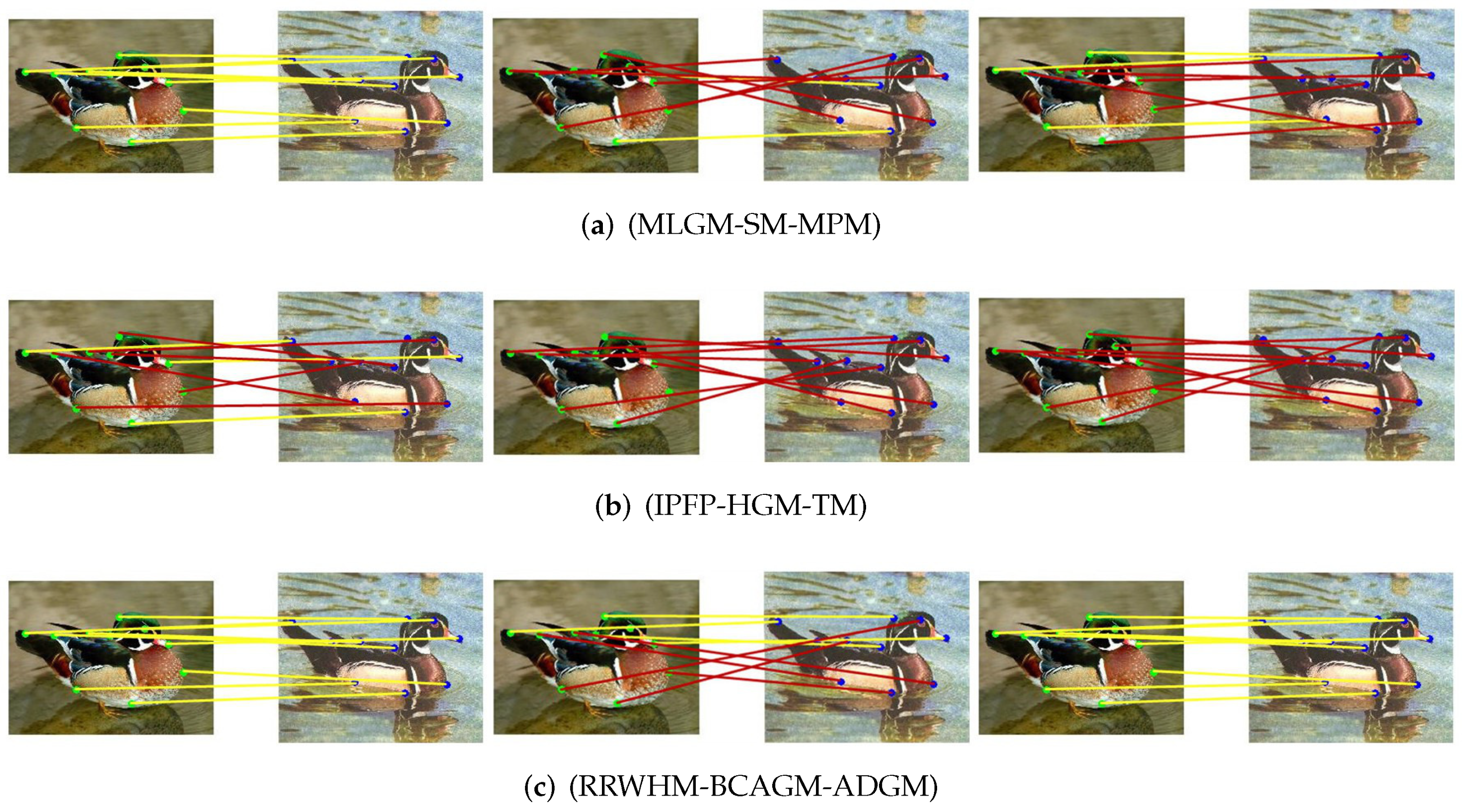 Mathematics 10 03806 g011