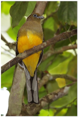 Mathematics 10 03847 i020