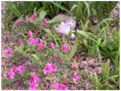 Mathematics 10 03847 i023