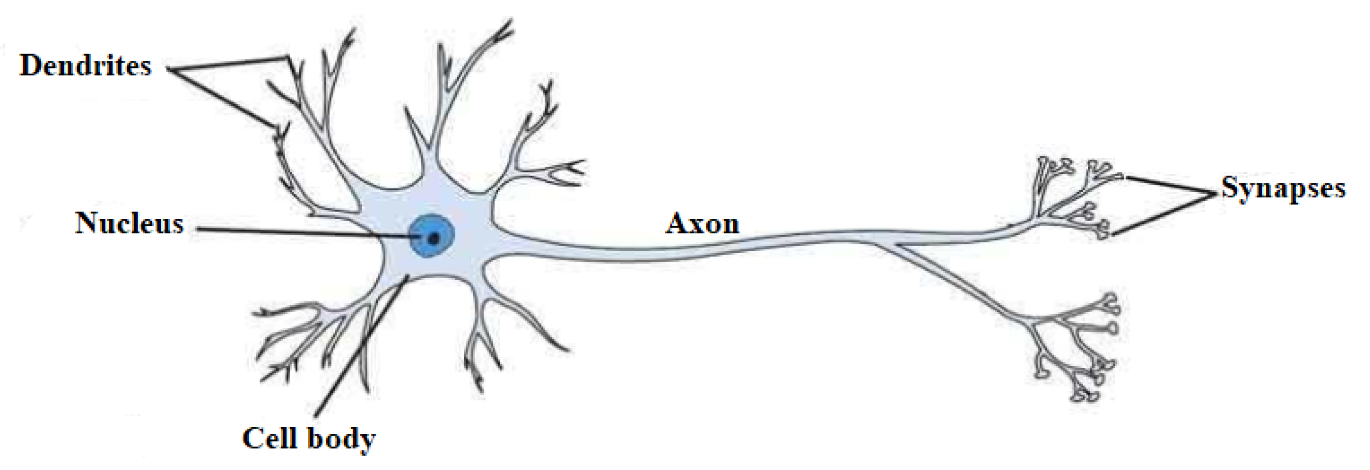 Mathematics 10 03895 g002 Mathematics 10 03895 g002