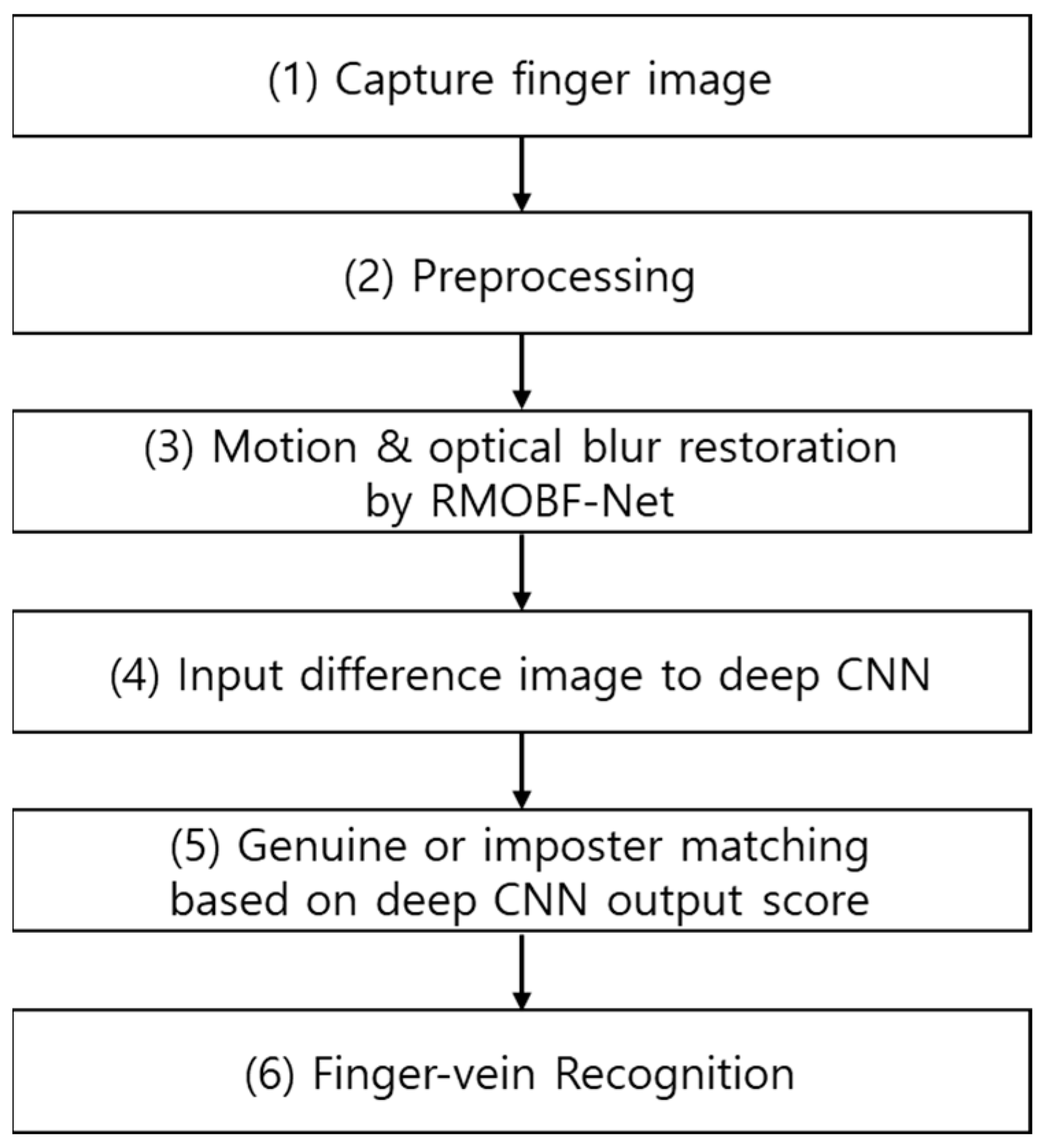 Mathematics 10 03948 g001