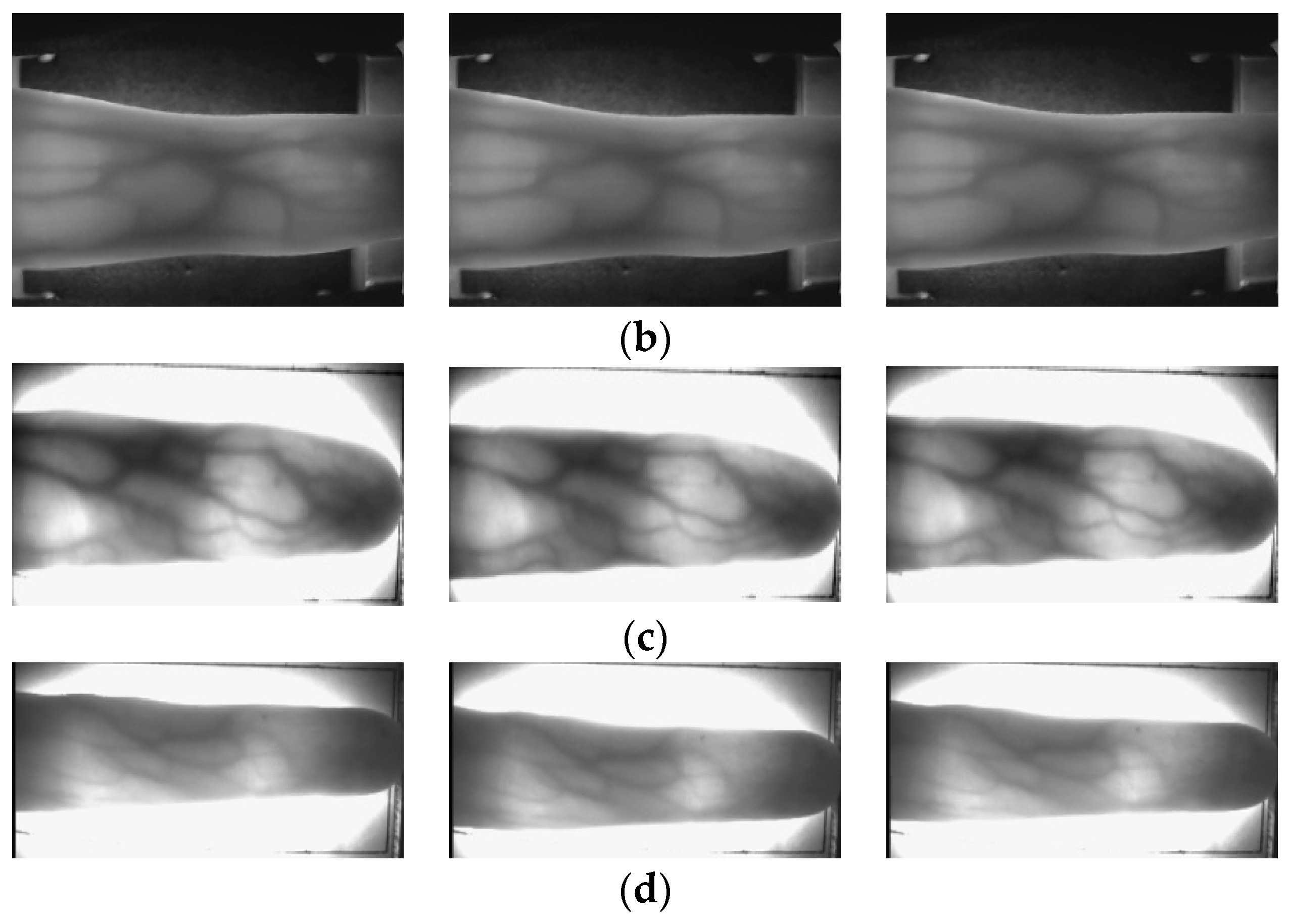 Mathematics 10 03948 g006b