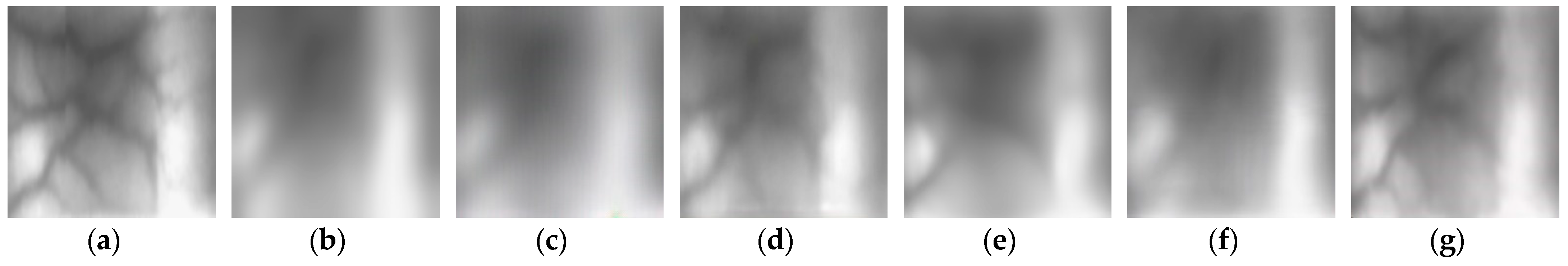 Mathematics 10 03948 g025