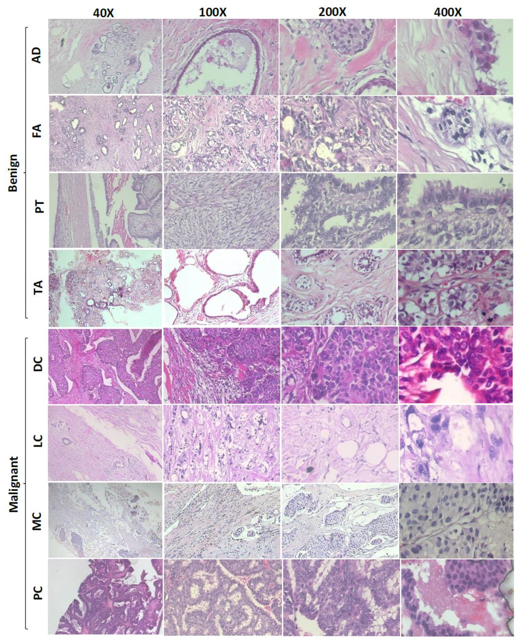 Mathematics 10 04109 g001 Mathematics 10 04109 g001