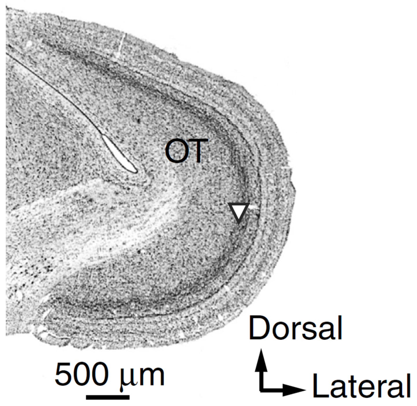 Mathematics 10 04125 g001