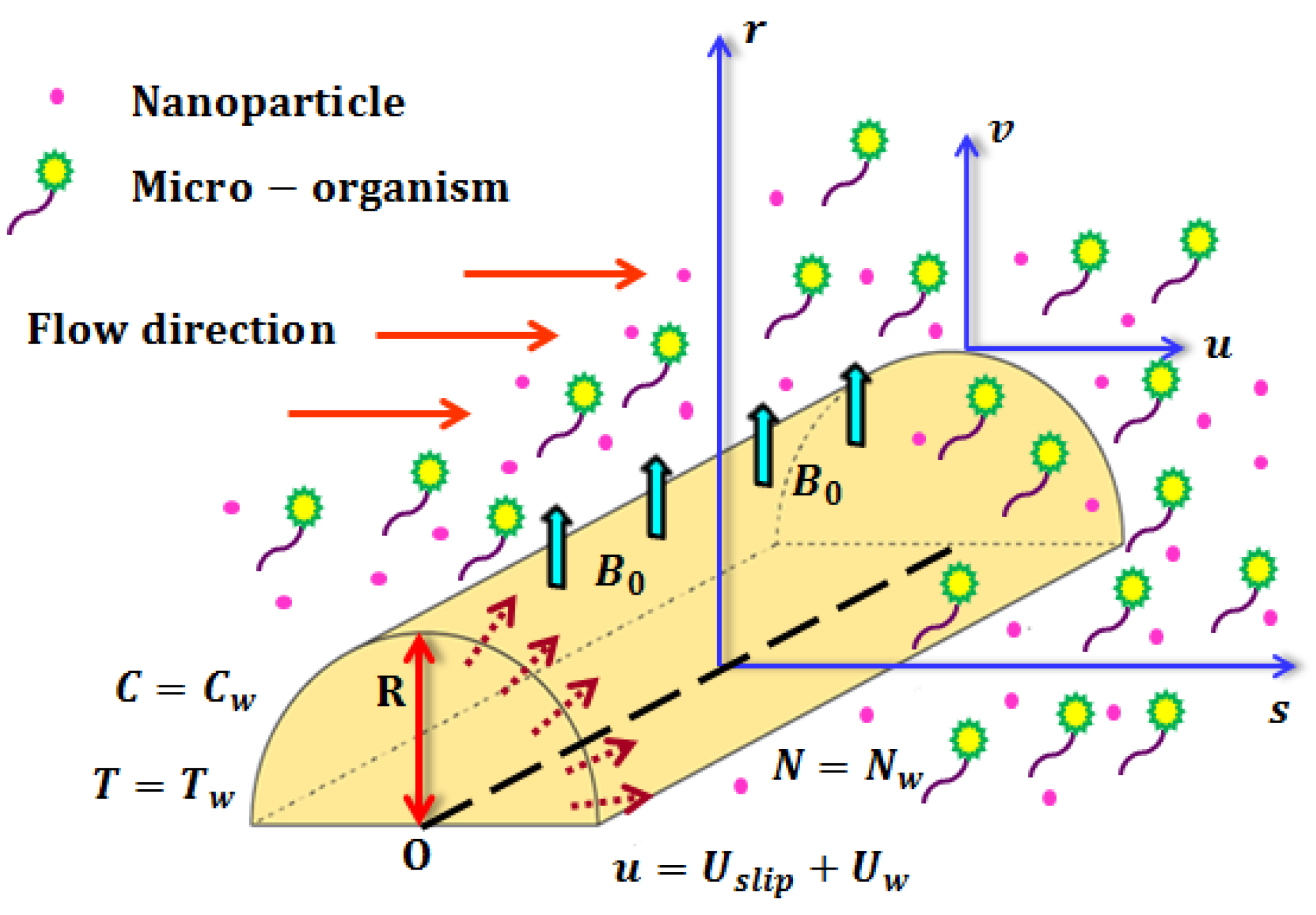 Mathematics 10 04133 g001 Mathematics 10 04133 g001