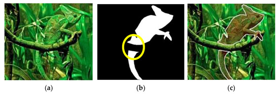 Camouflage Object Segmentation Using an Optimized Deep-Learning Approach