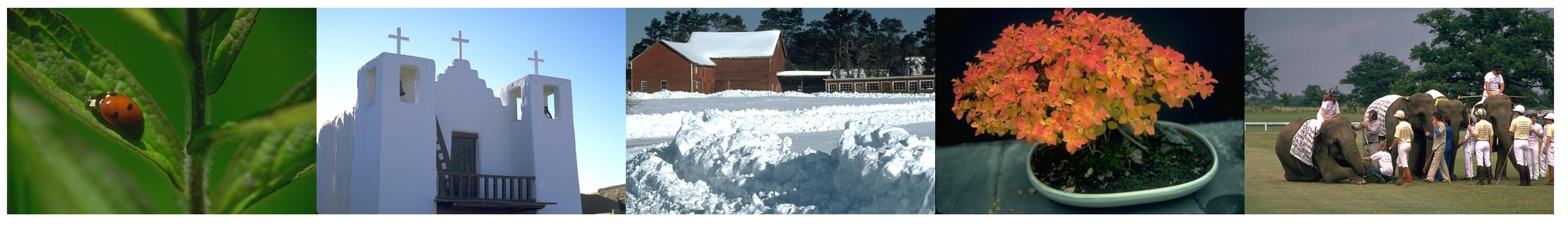 Mathematics 10 04301 g006