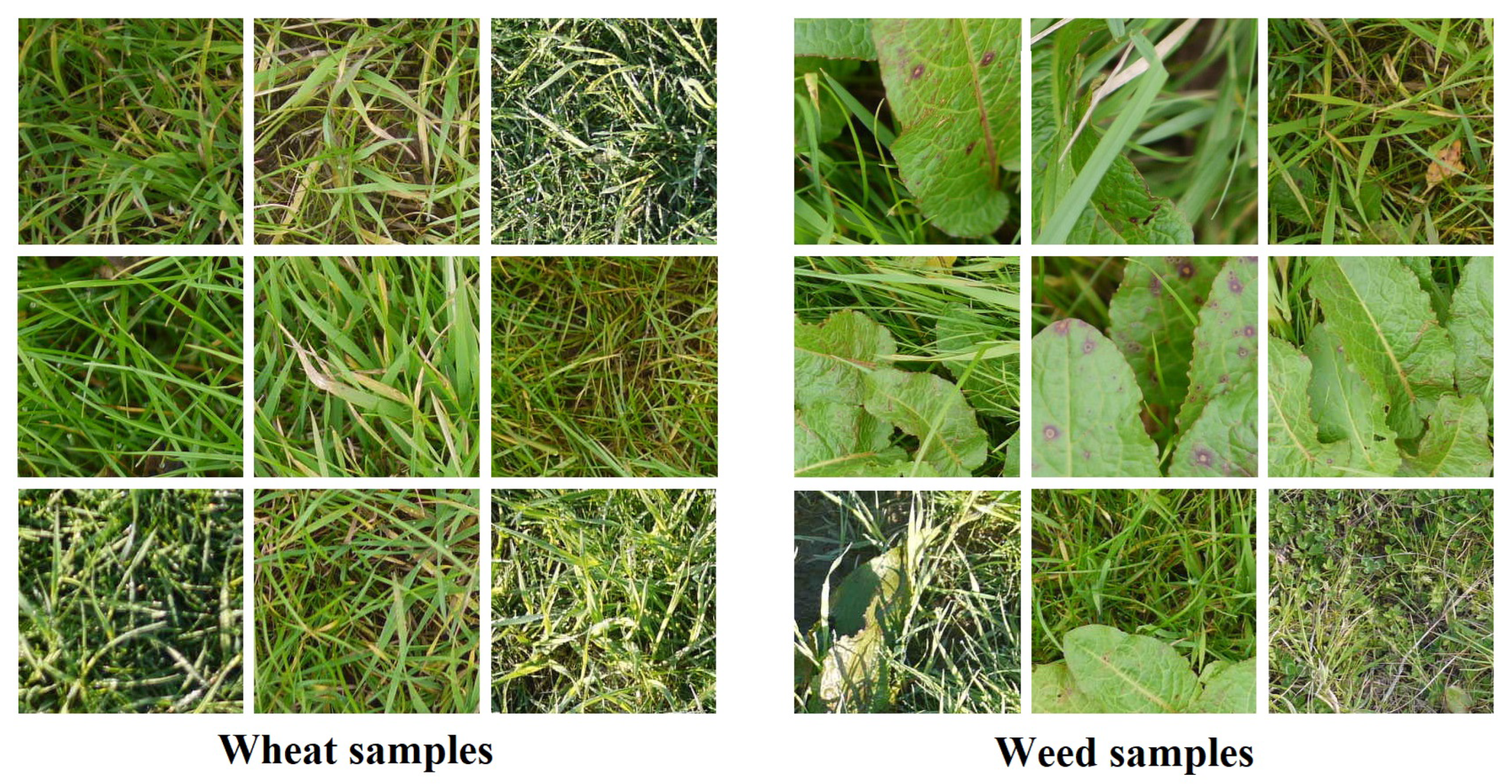 Mathematics 10 04421 g001