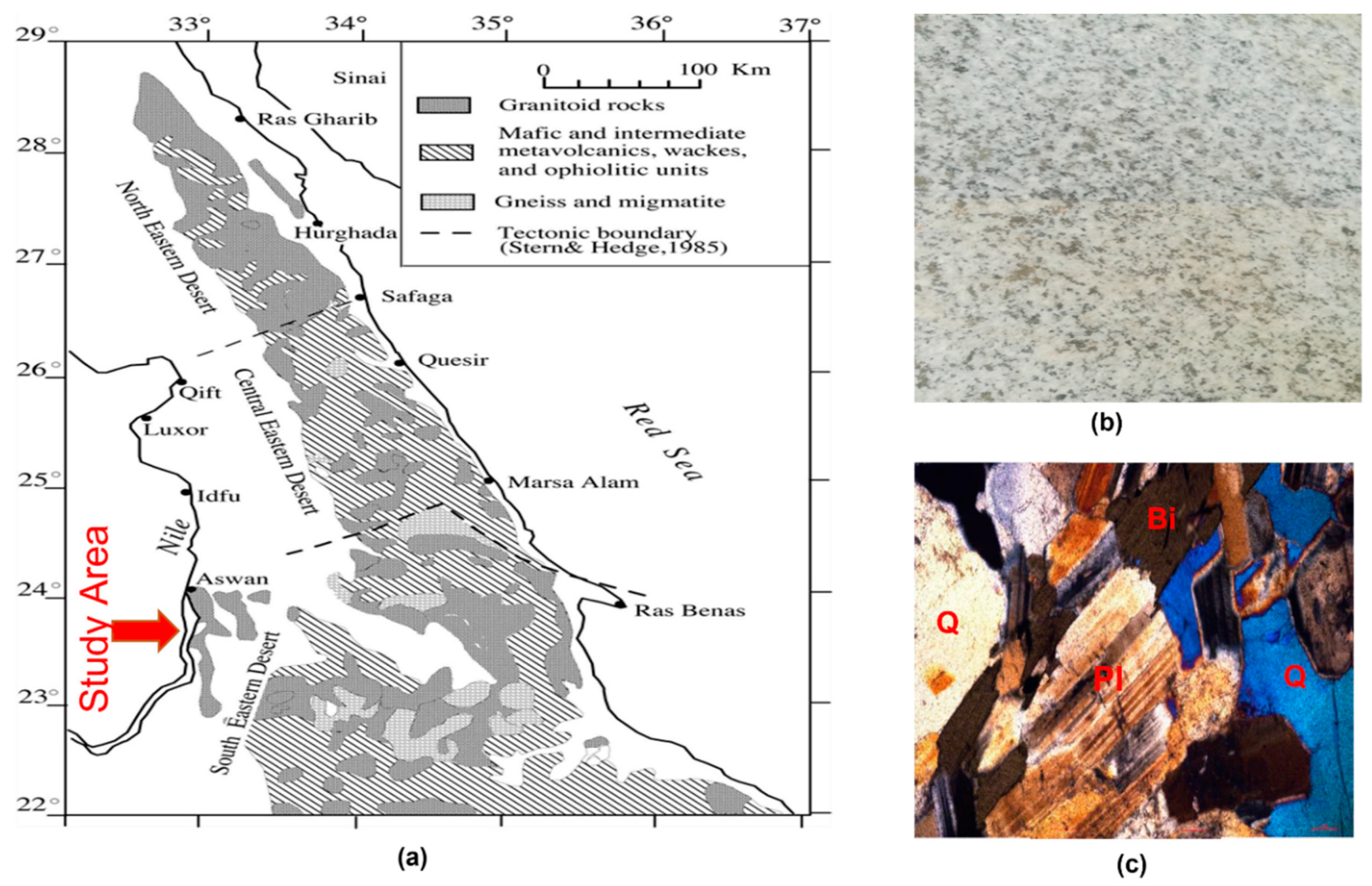 Mathematics 10 04523 g001