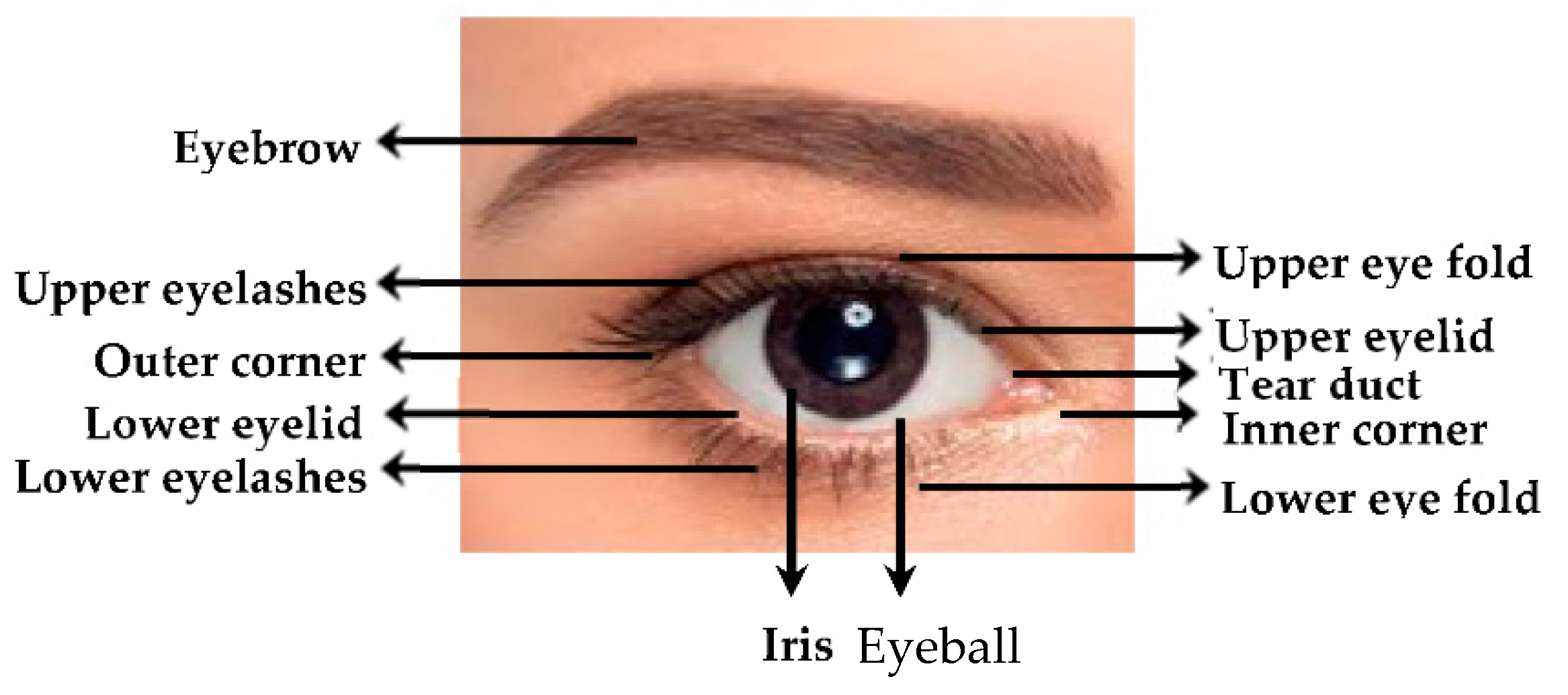 Mathematics 10 04604 g002