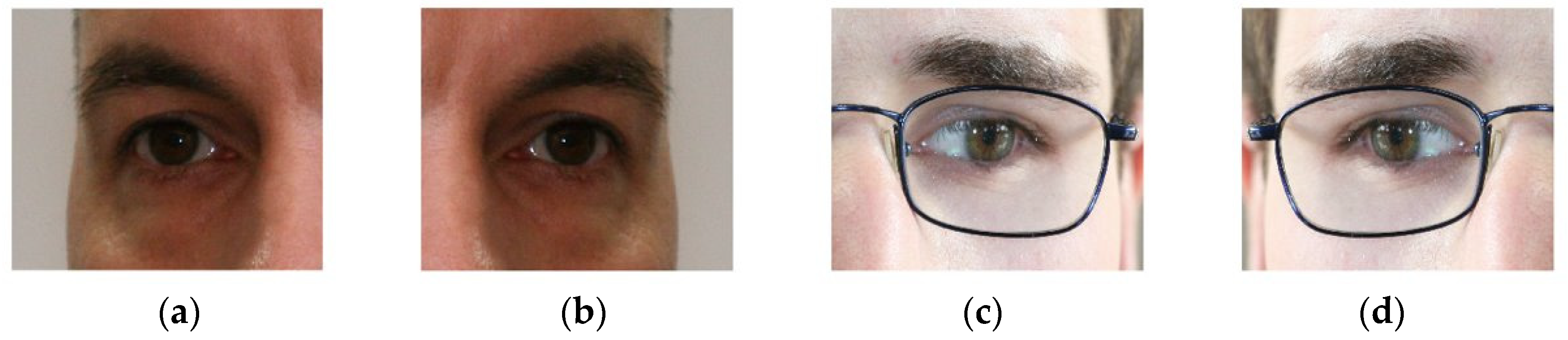 Mathematics 10 04604 g010