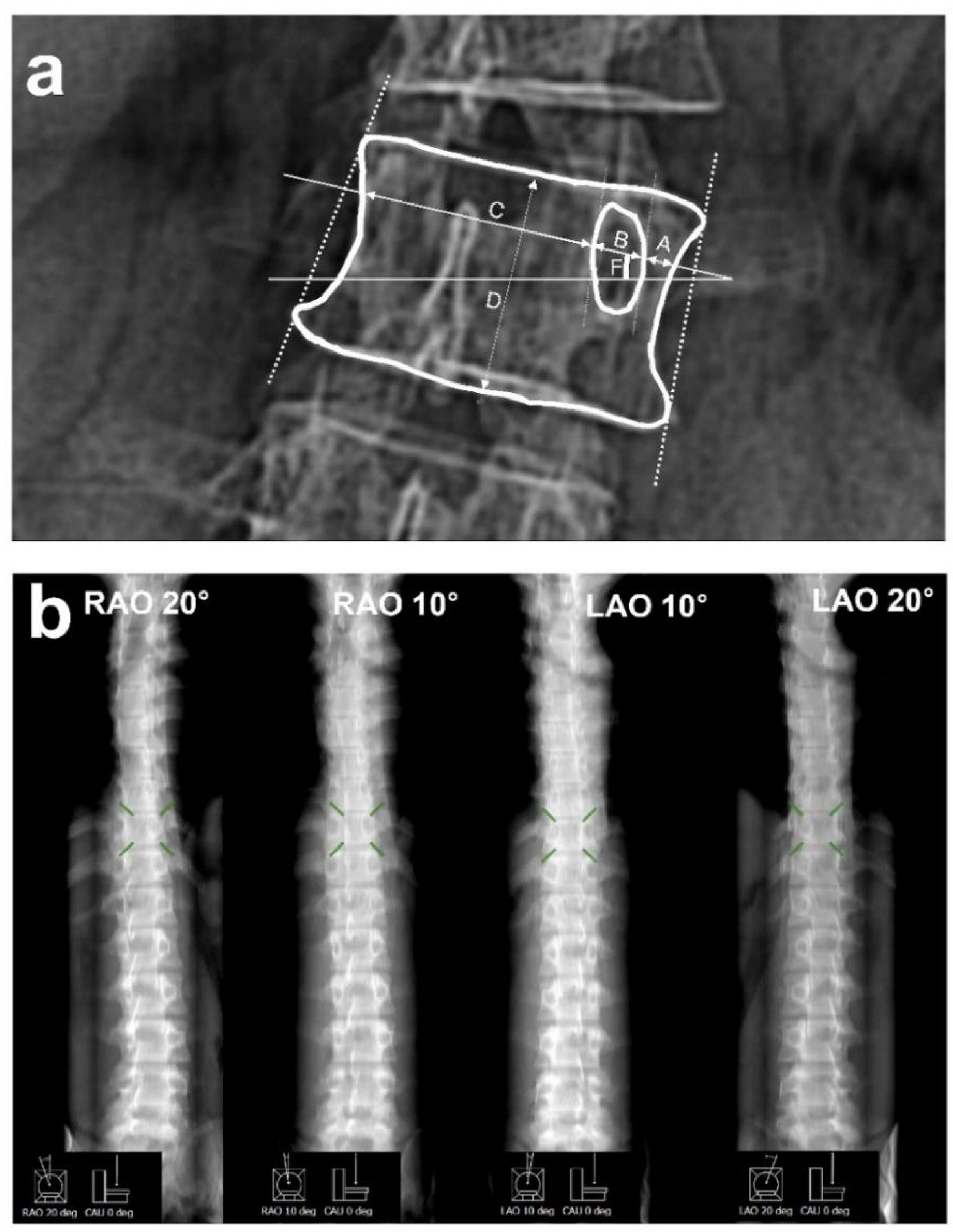Mathematics 10 04781 g003 Mathematics 10 04781 g003