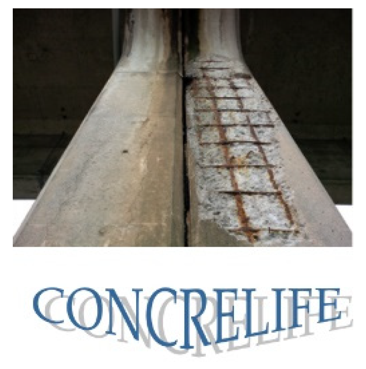 Mathematics 10 04810 g003