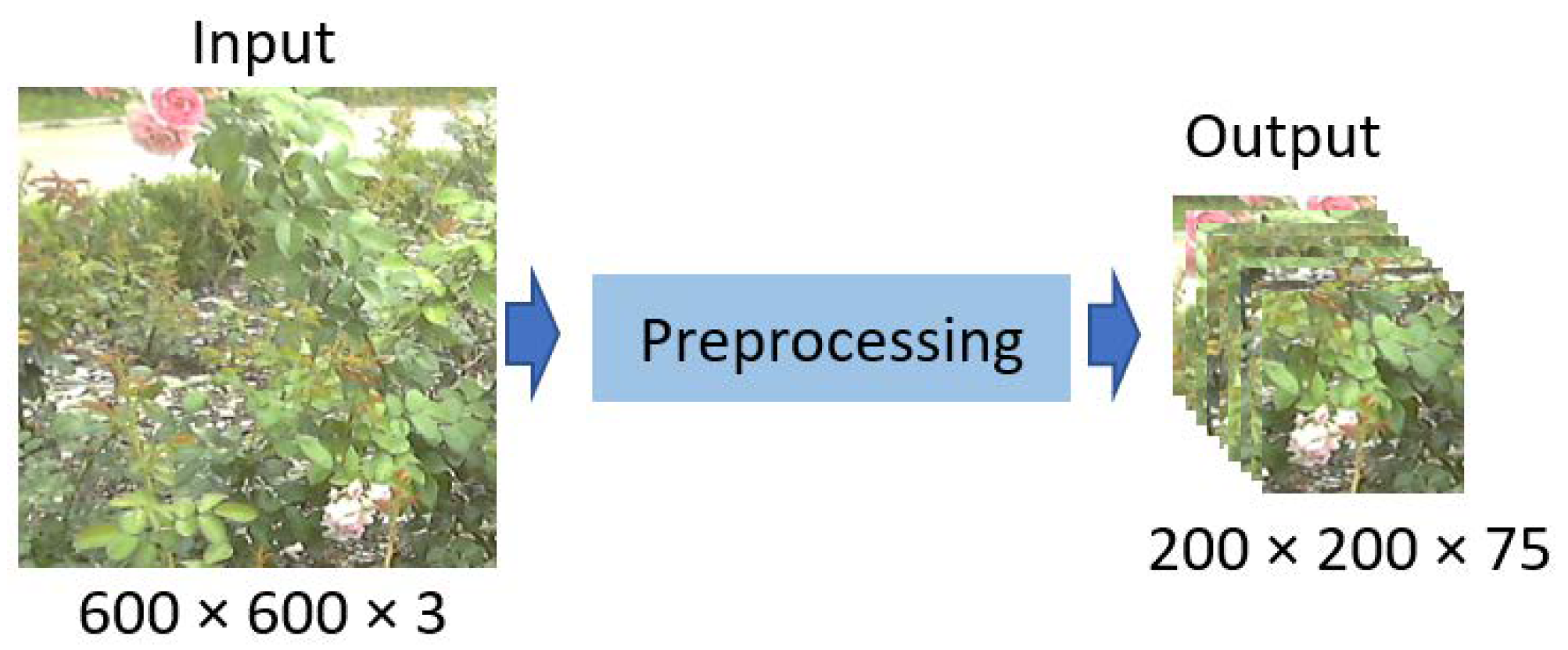 Mathematics 11 00076 g003