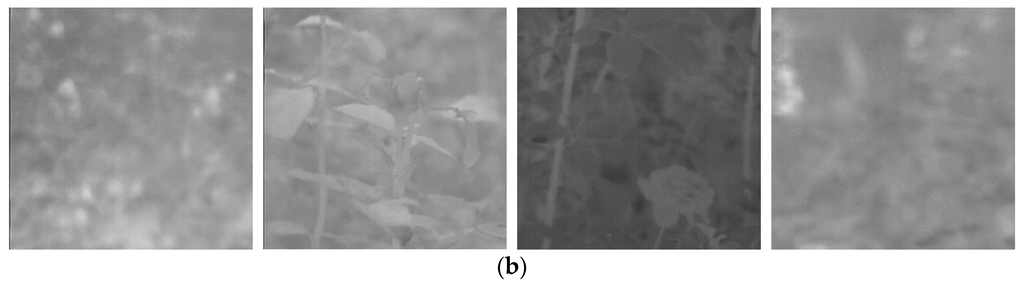 Mathematics 11 00076 g006b