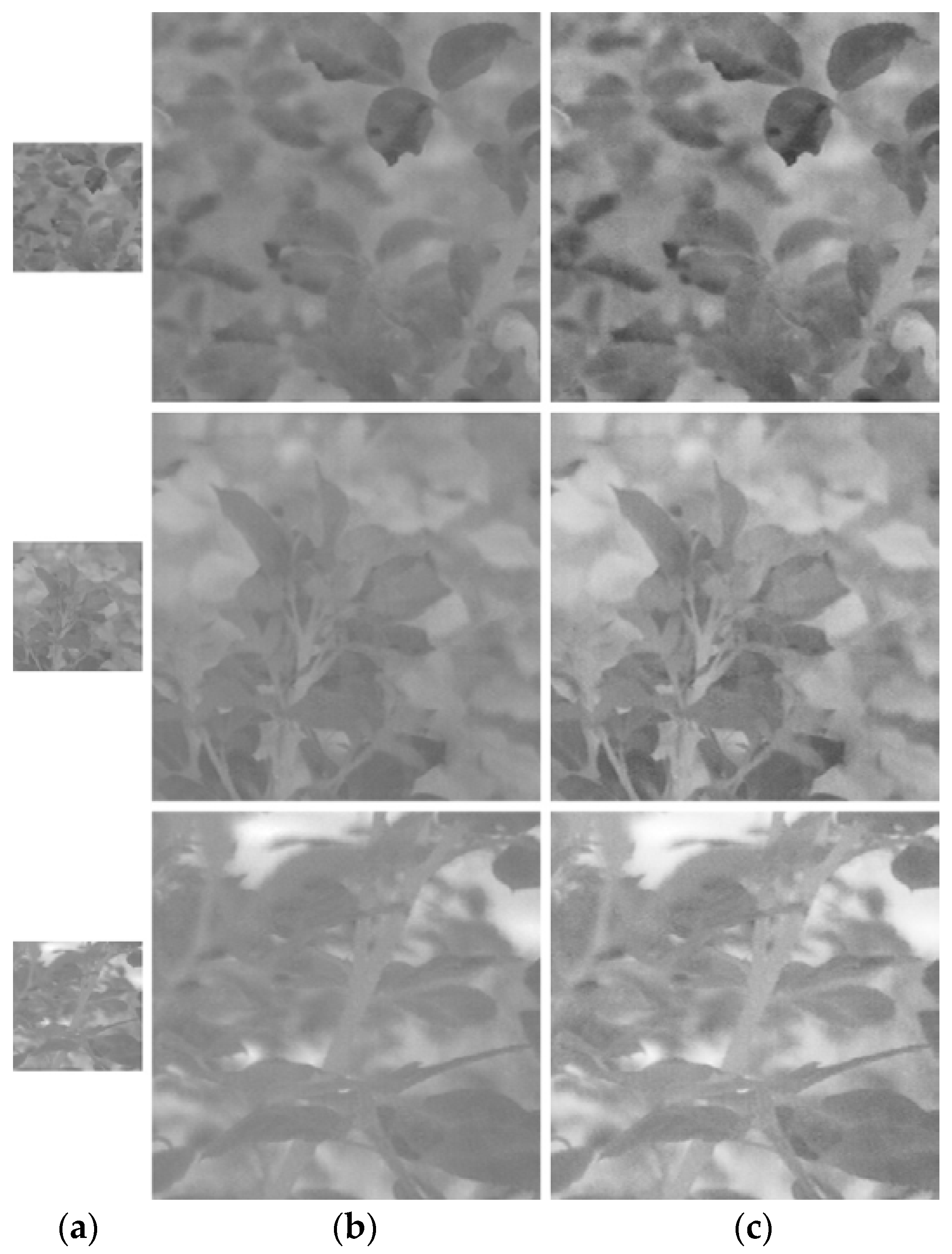 Mathematics 11 00076 g008