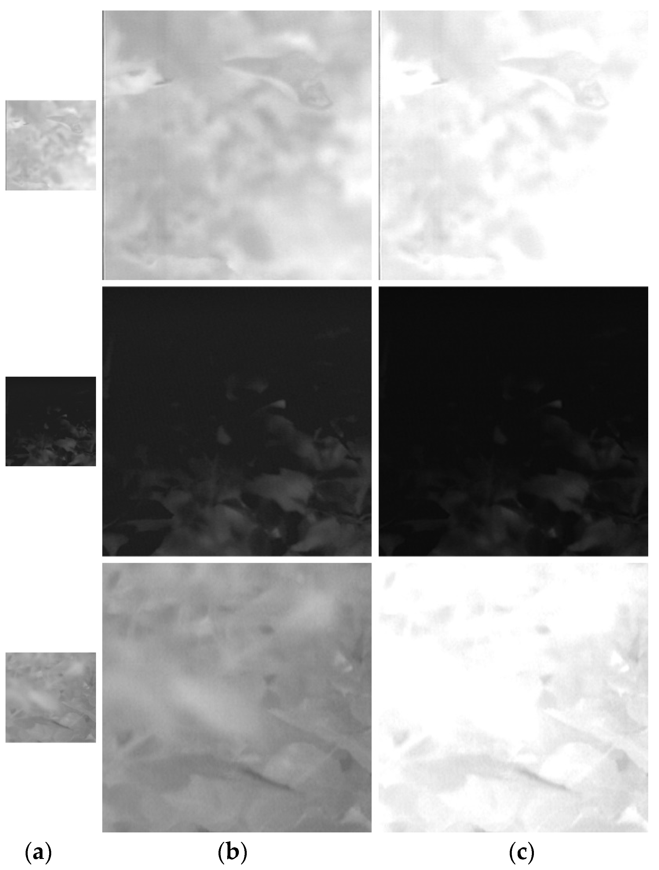 Mathematics 11 00076 g011