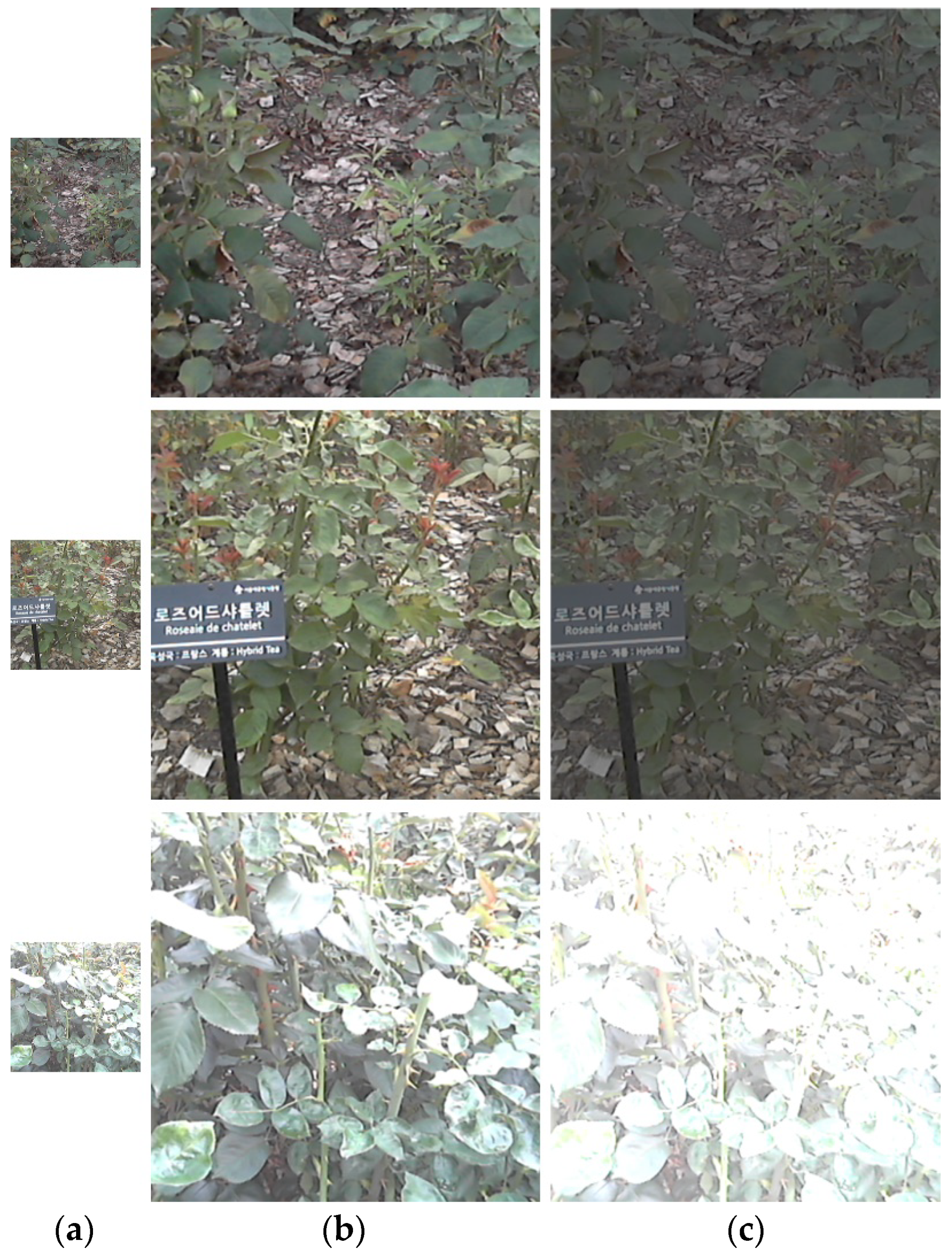 Mathematics 11 00076 g012