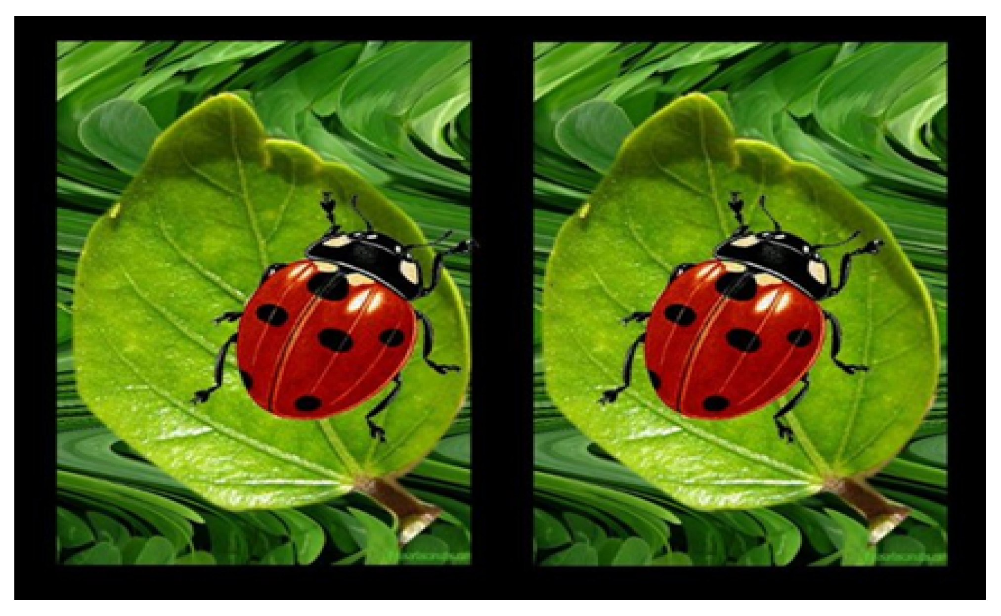 Mathematics 11 00171 g005