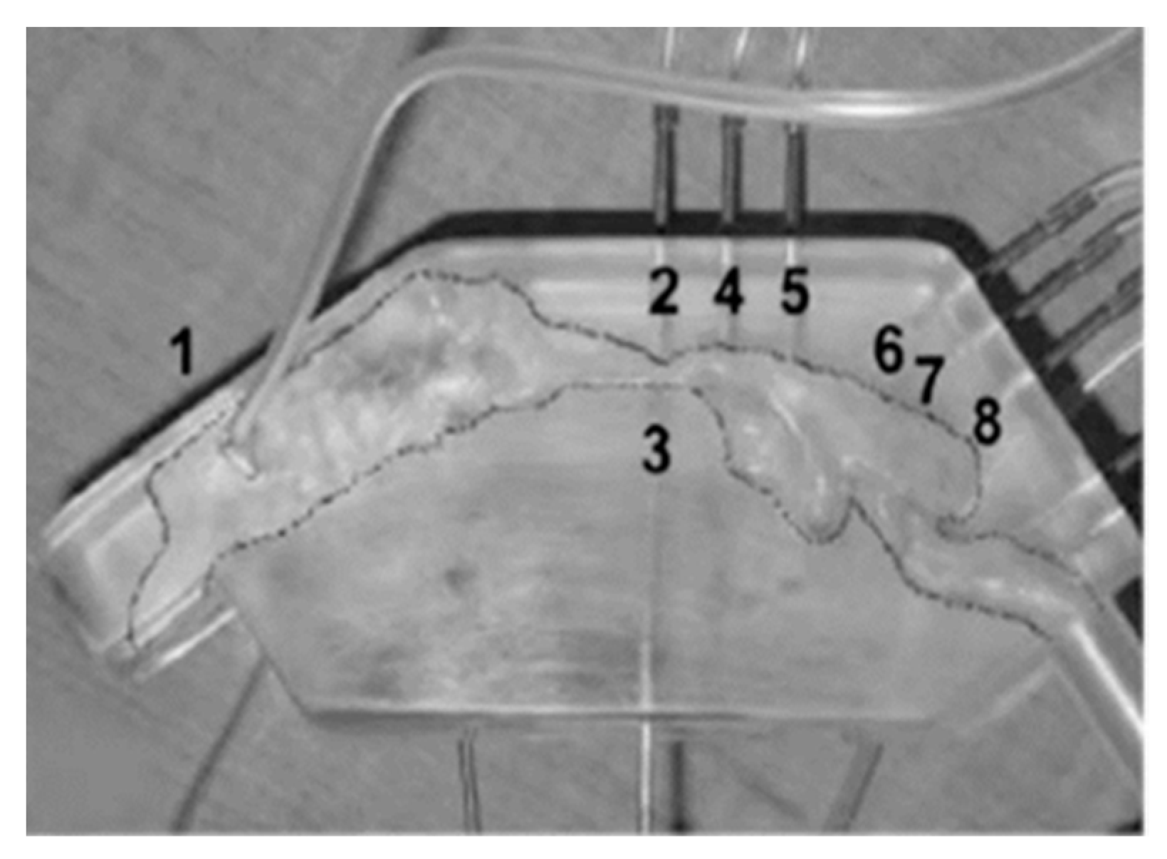 Mathematics 11 00219 g009 Mathematics 11 00219 g009