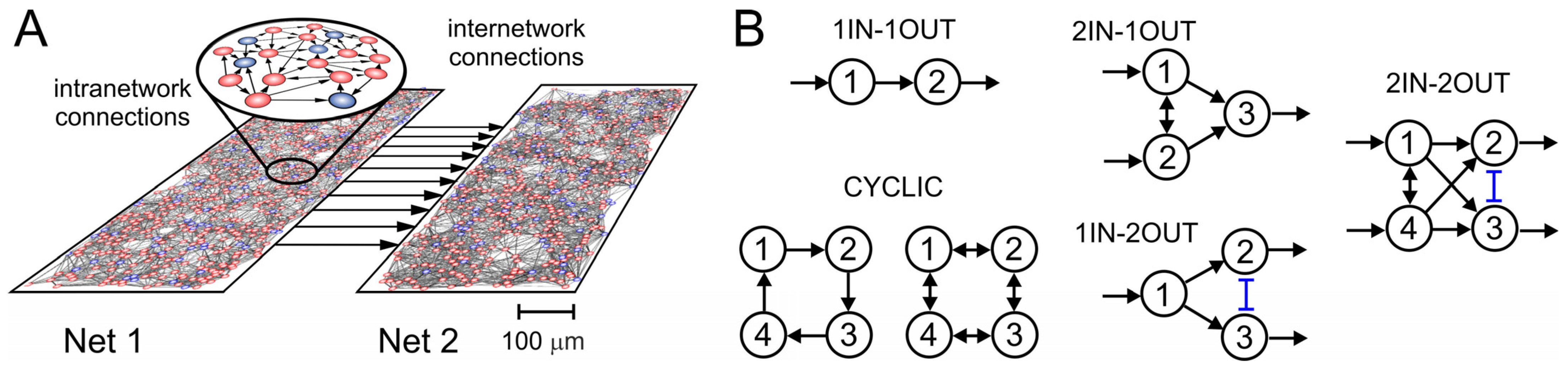 Mathematics 11 00234 g001