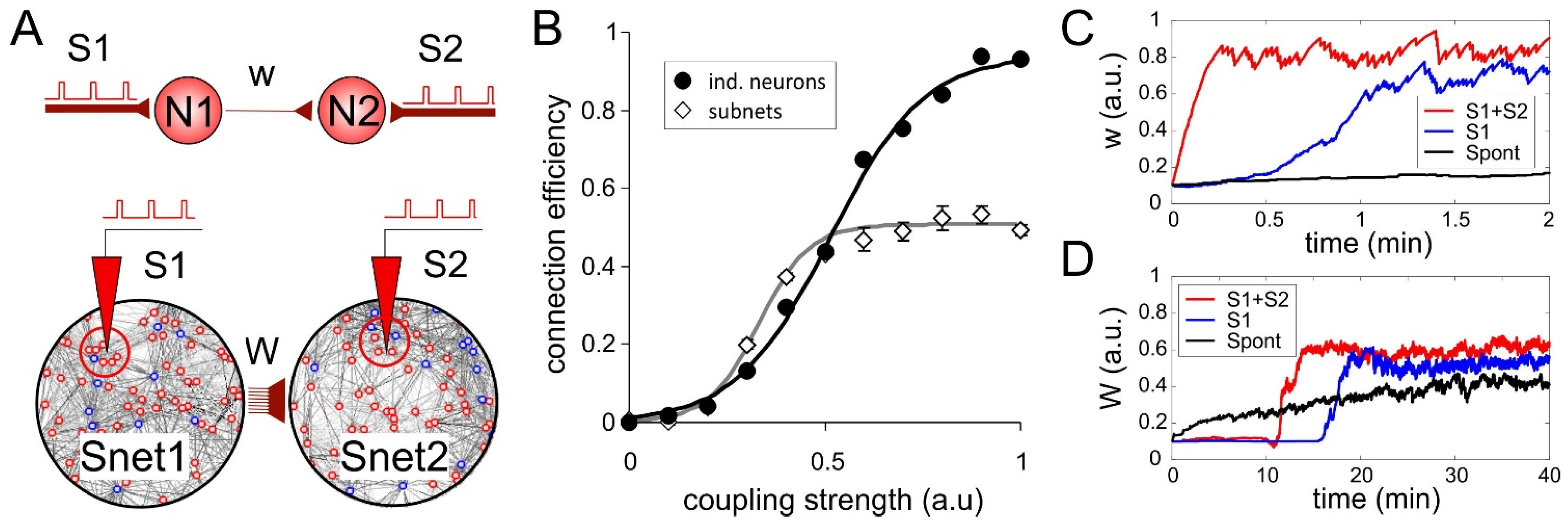 Mathematics 11 00234 g002