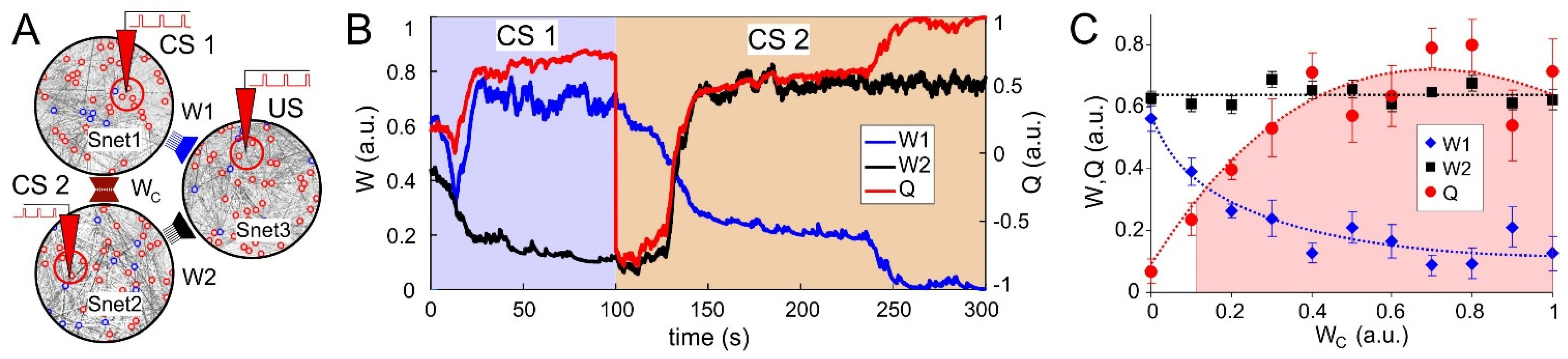 Mathematics 11 00234 g005