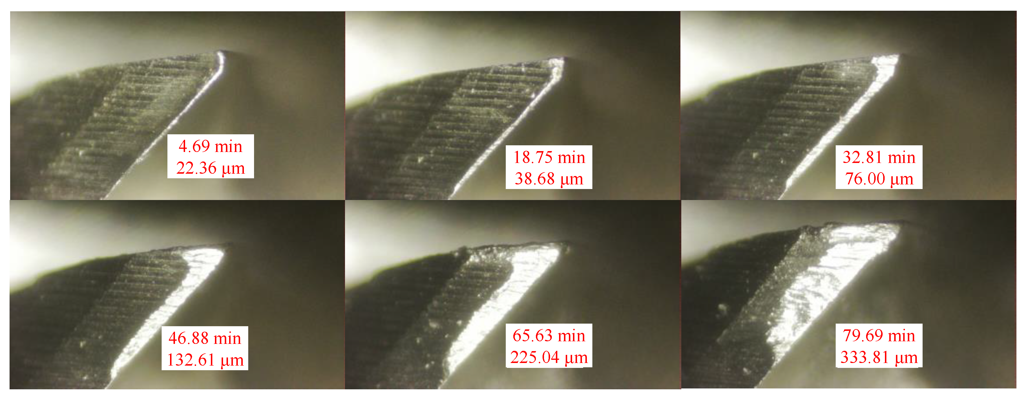 Mathematics 11 00324 g017