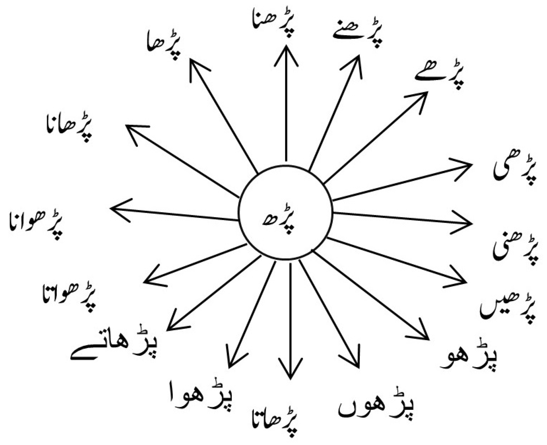 Social Media Vocabulary with Urdu and Hindi Meanings