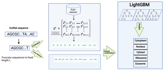 LightGBM-LncLoc: A LightGBM-Based Computational Predictor