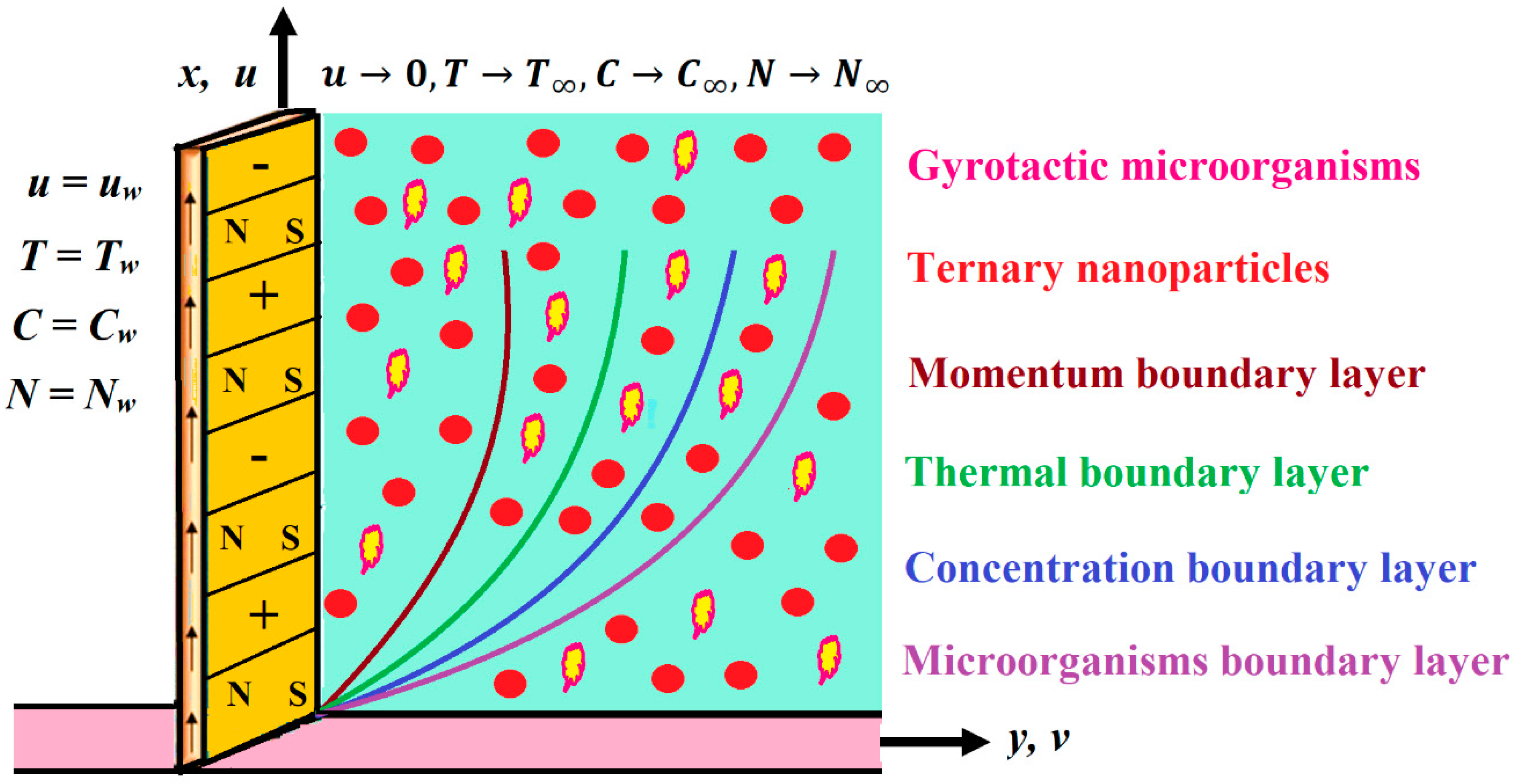 Mathematics 11 00981 g001