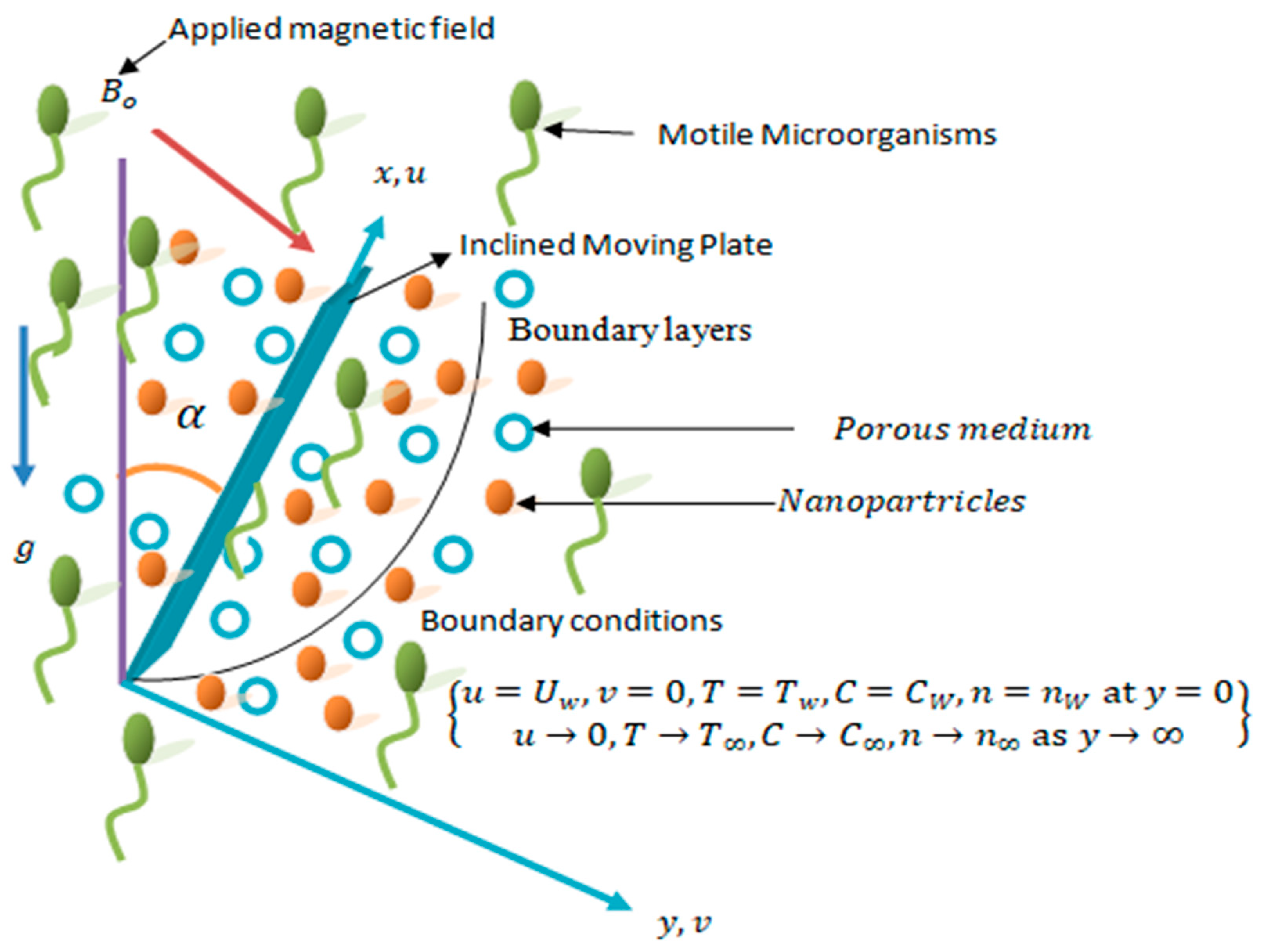 Mathematics 11 01043 g001 Mathematics 11 01043 g001