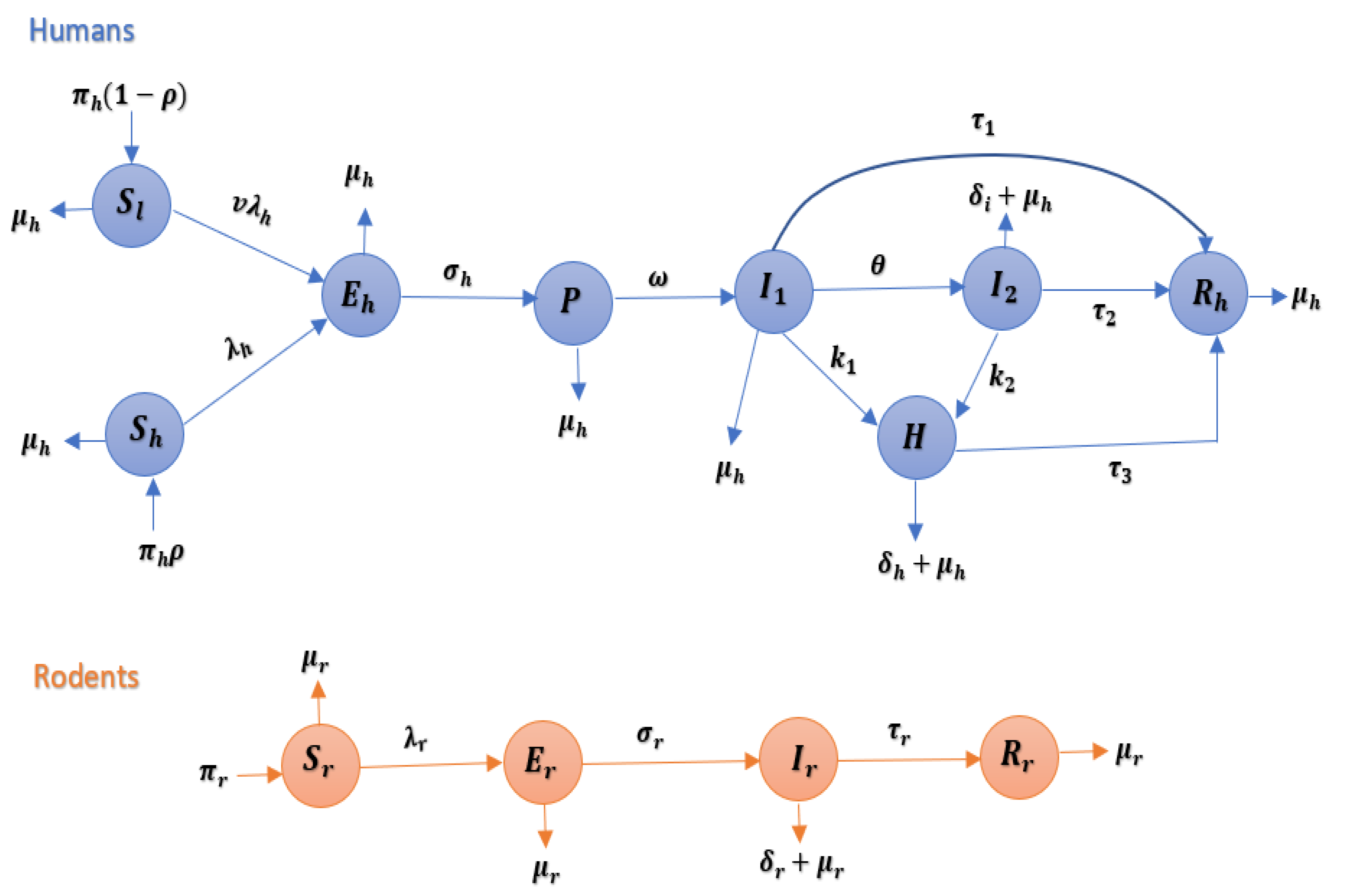 Mathematics 11 01121 g001