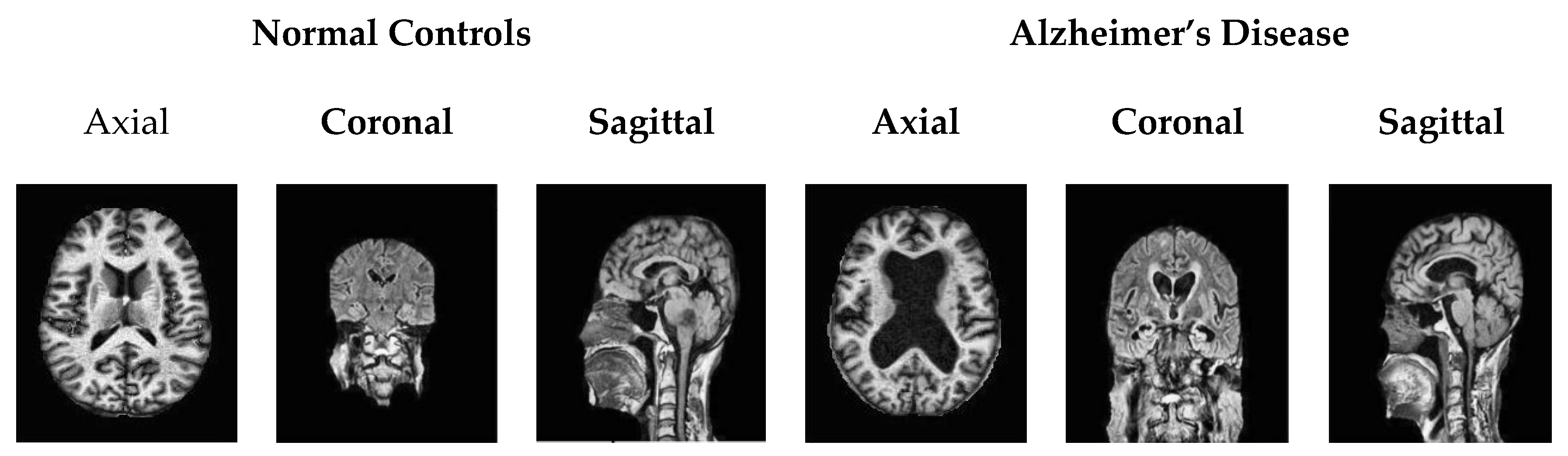 Mathematics 11 01136 g003 Mathematics 11 01136 g003
